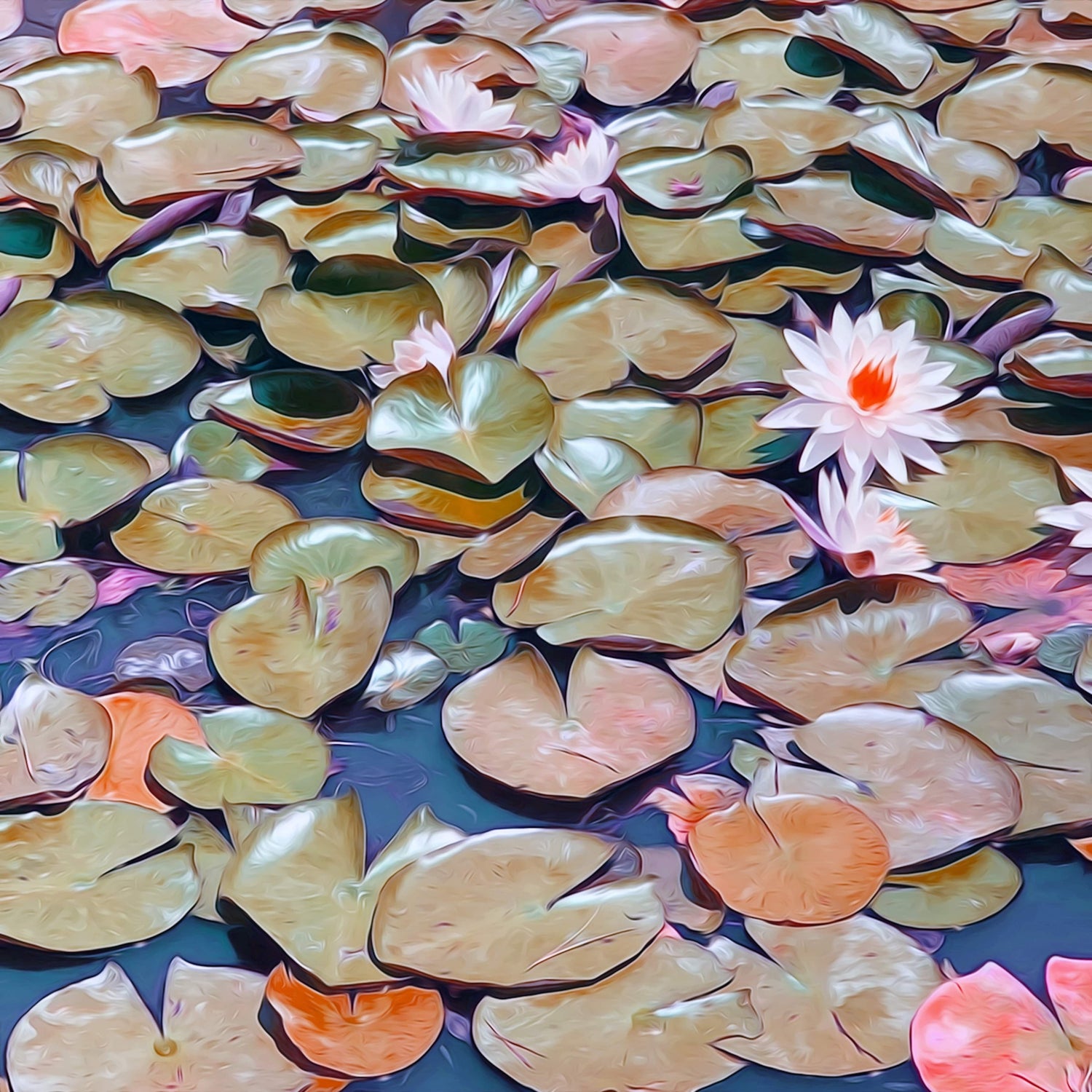 Echoes on the Pond - Fine Art Print