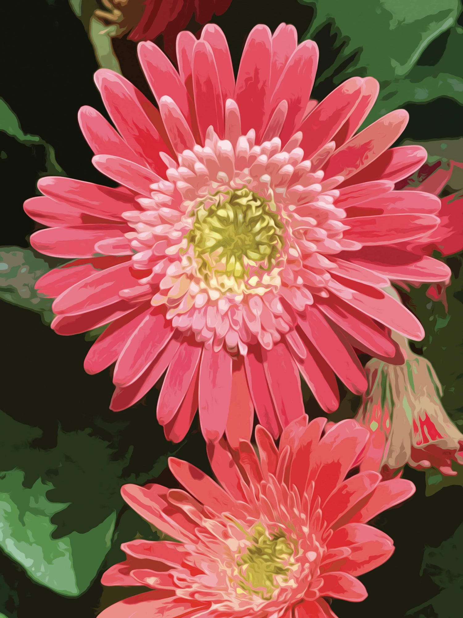 Summer Bloom - Fine Art Print