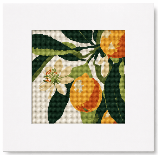 Florida Orange Blossom Needlepoint Card Design | State Flower Series by G. March Design