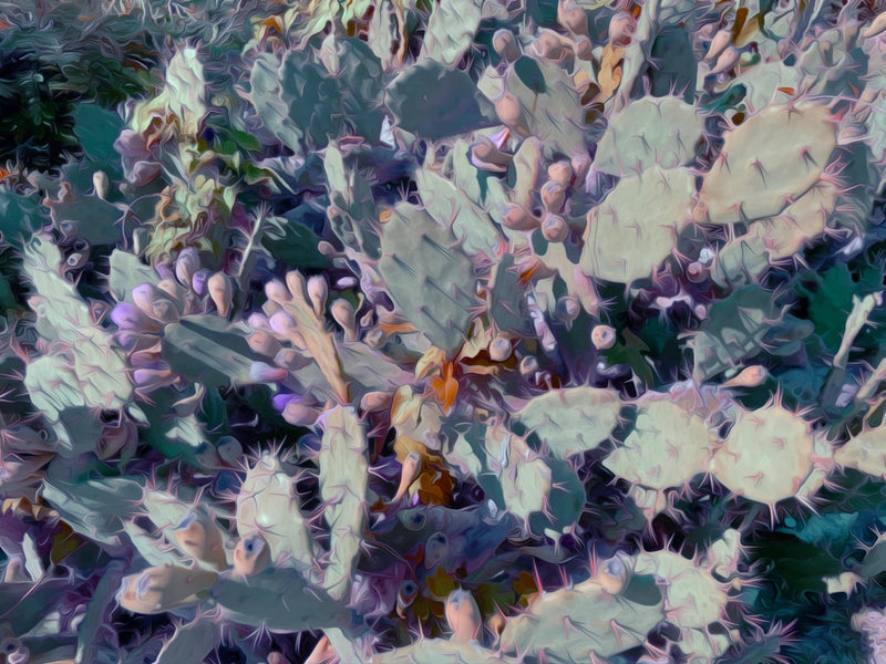 Desert Whisper - Fine Art Print