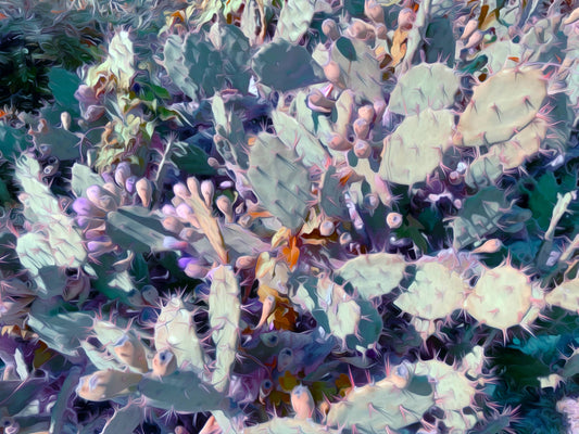 Desert Whisper — Prickly Pear Cactus Botanical Fine Art Print | G March Design