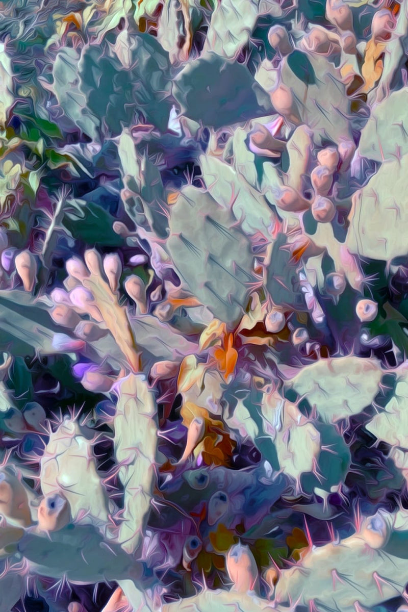 Desert Whisper — Prickly Pear Cactus Botanical Fine Art Print | G March Design
