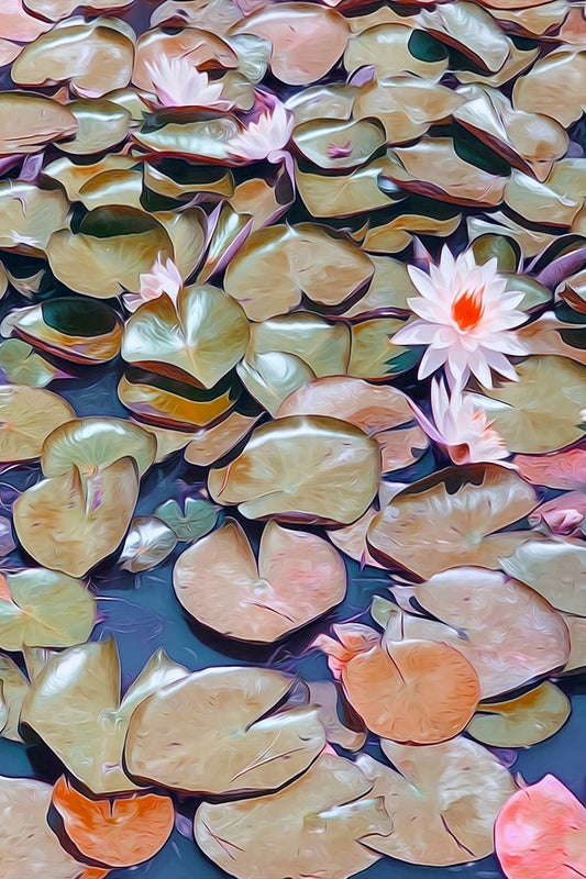 Echoes on the Pond — Water Lily Pond Landscape Fine Art Print | G March Design