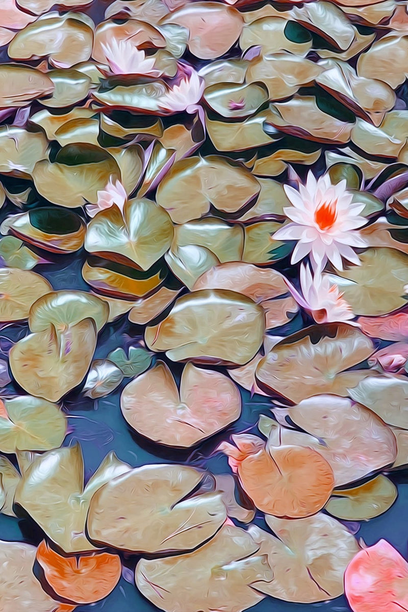 Echoes on the Pond — Water Lily Pond Landscape Fine Art Print | G March Design