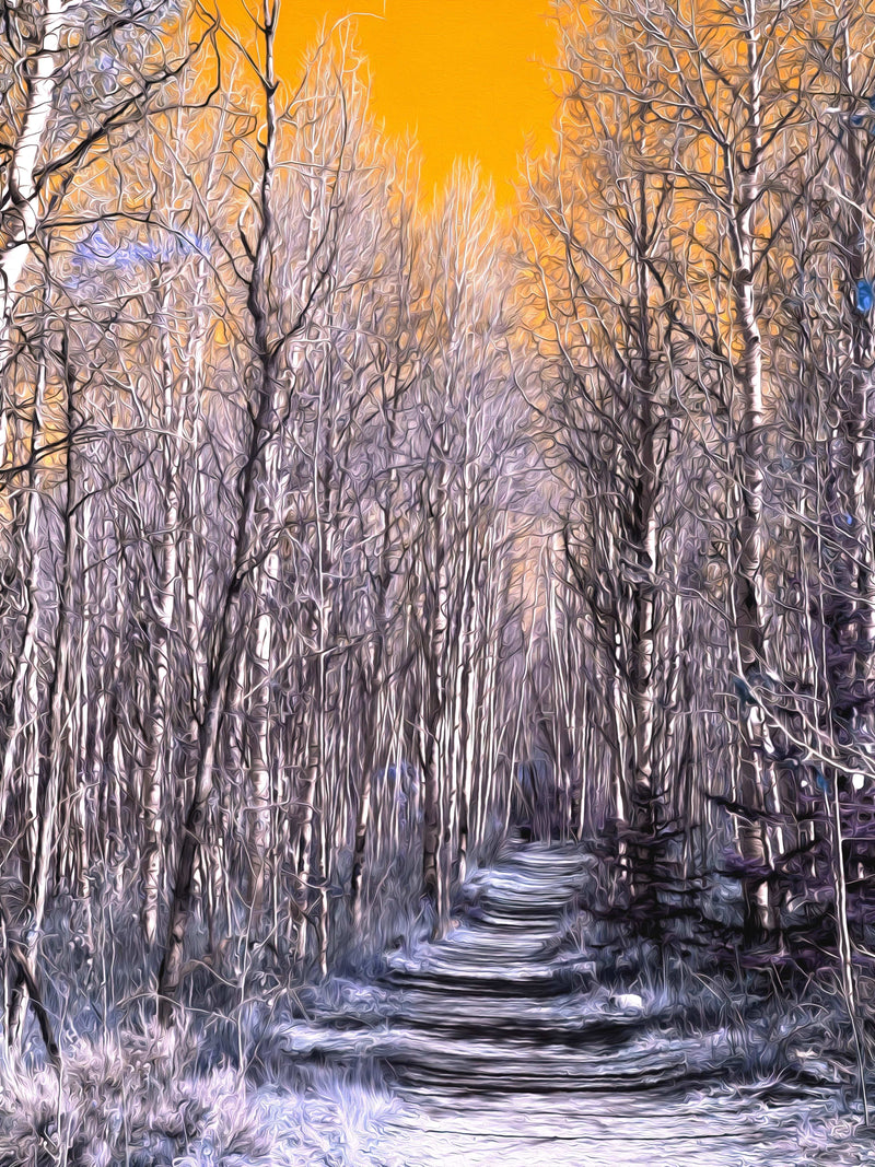 Gilded Path - Fine Art Print