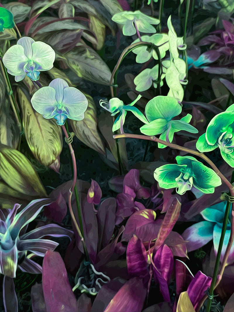 Nightshade - Acrylic Painting