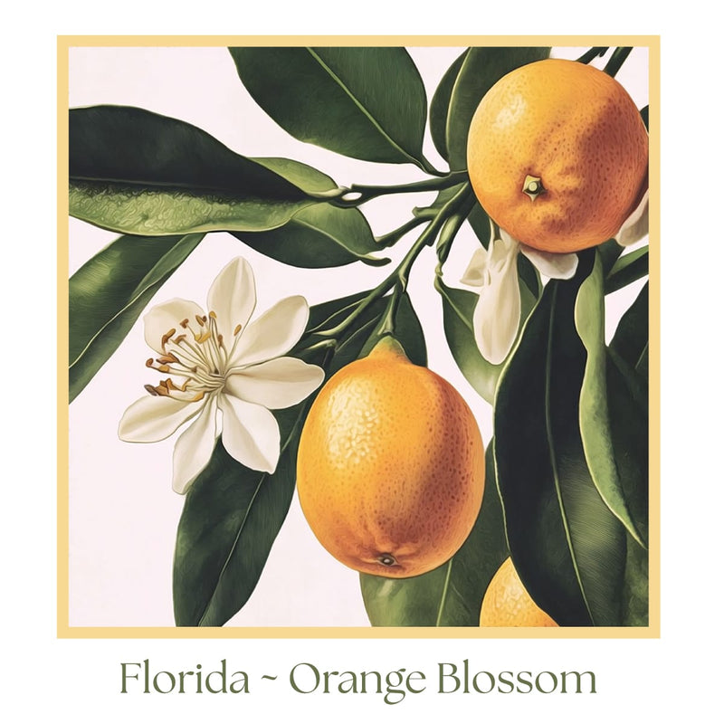Florida ~ Orange Blossom Wood Block Print | Botanical State Flower Art