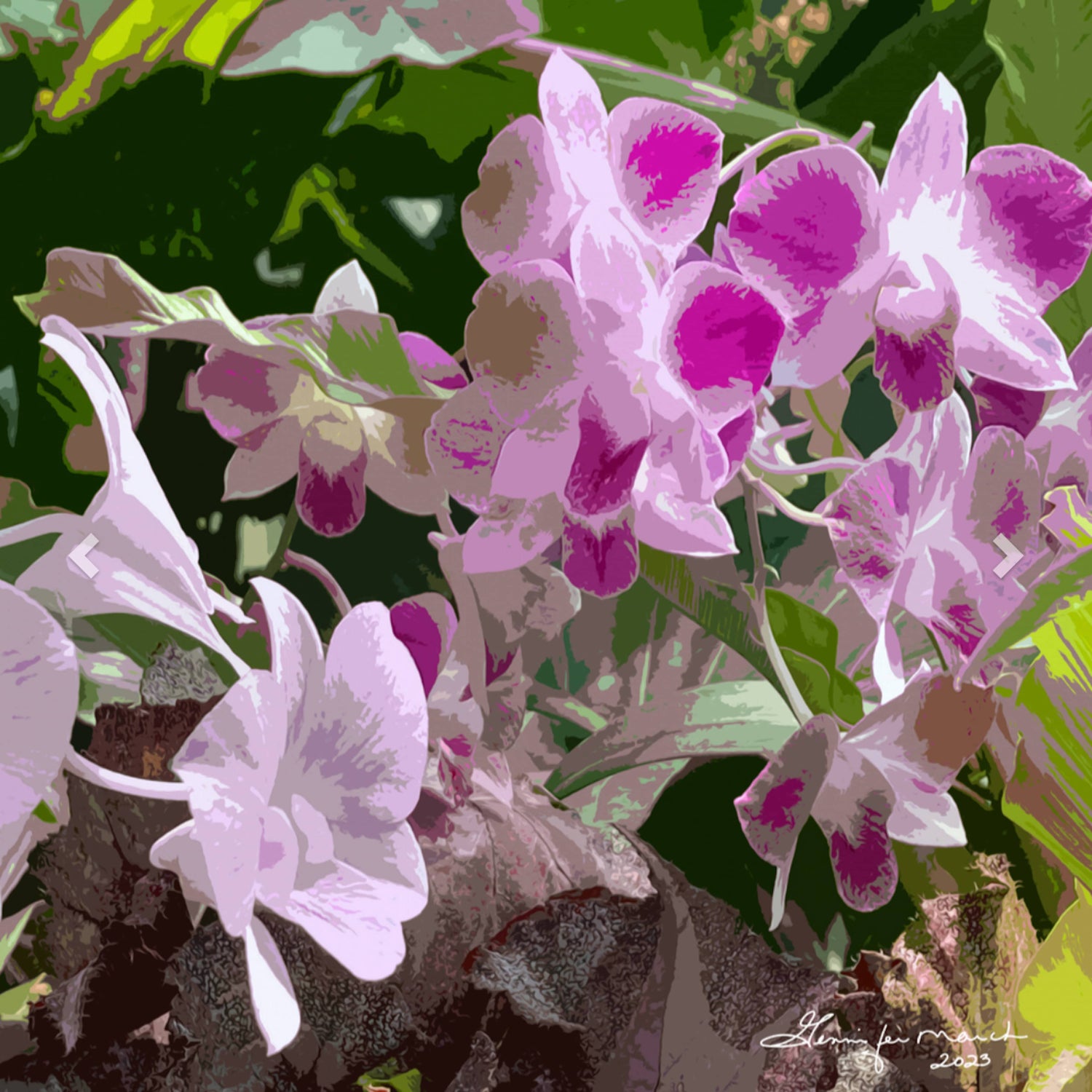 Orchid Reverie — Dendrobium Orchid Botanical Fine Art Print | G March Design