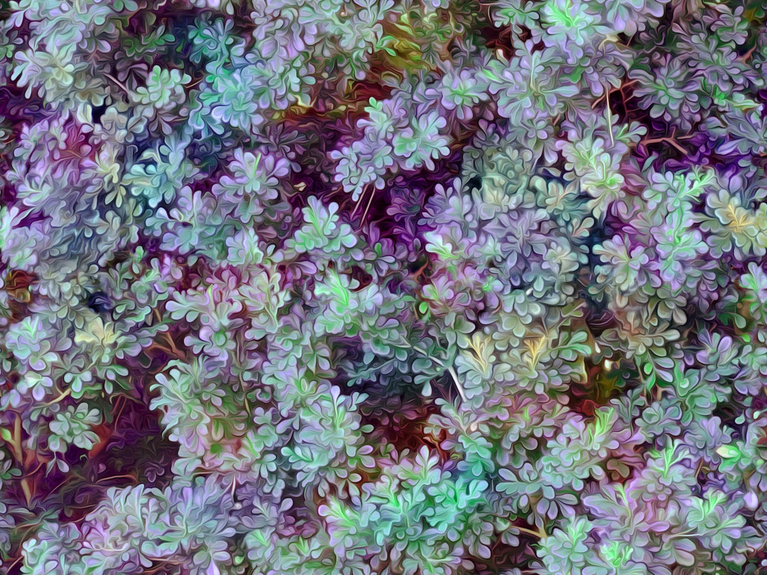 Peek Through - Mural