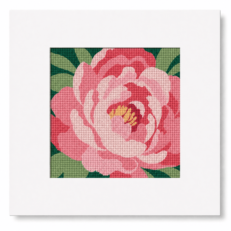 Indiana Peony Needlepoint Card Design | State Flower Series by G. March Design