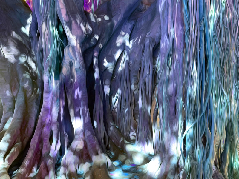 Stately Shelter - Mural