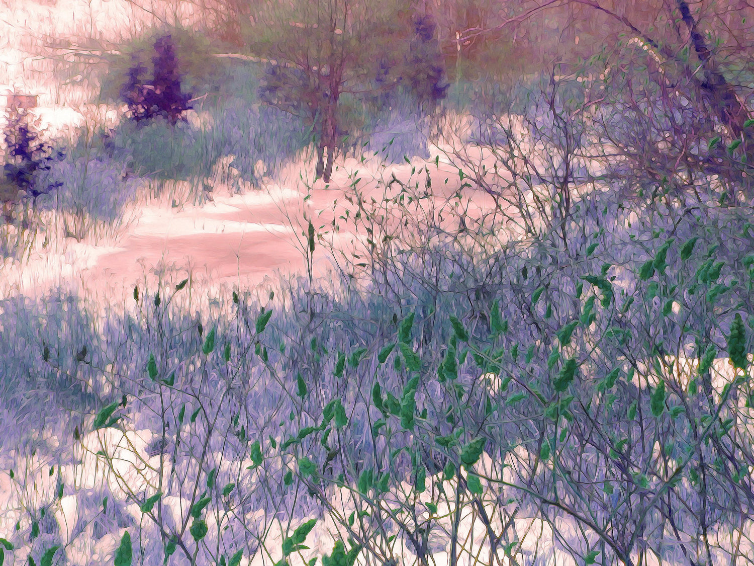 Stillwater Blush - Mural