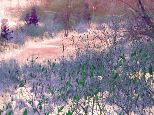 Stillwater Blush - Mural