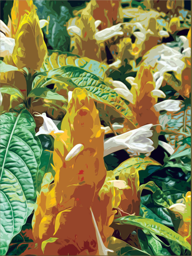 Sunspiked - Fine Art Print