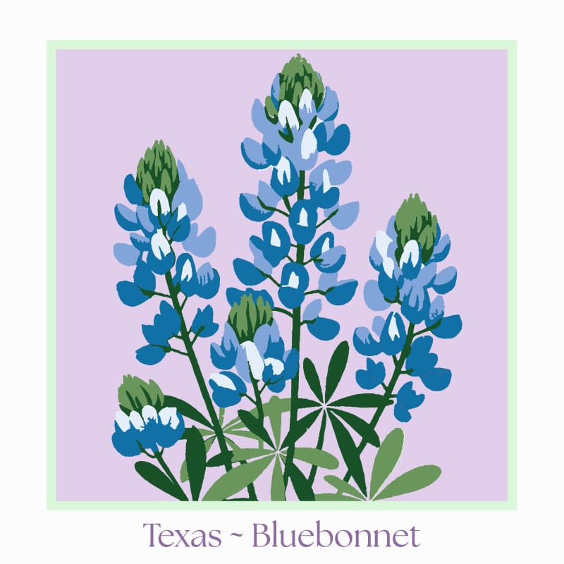 Texas ~ Bluebonnet Wood Block Print | Botanical State Flower Art